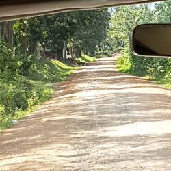 Zufahrt zur Ruma River Lodge