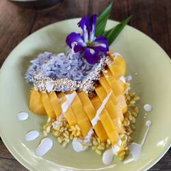 Mango Butterfly Pea Sticky Rice