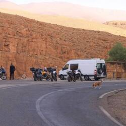 Achtung 🐕 auf der Strasse!