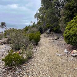 Lakeside walk at Lake St Clair