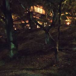 Someone was playing some strange instrument overthere🎶