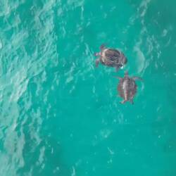 These two "loved each other very much"!