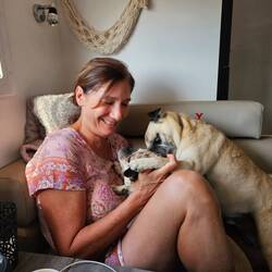 Some fun with the dogs