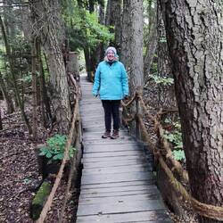 Wackelbrücke wurde bezwungen 💪