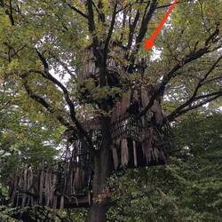 Extra cooles Baumhaus für Kinder und große Jungs ☺️