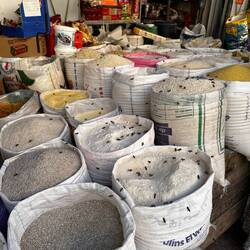 Die 🐝 lieben wohl die Gewürze genau so wie wir?! 😂