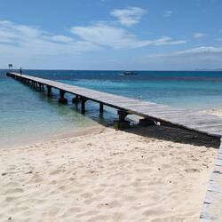 Signal Island: light on amenities, heavy on turtles. 2 hours (1st on, 1st off) was just right