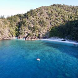 Drone shots of Mantaray Bay Hook Island