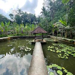 A beautiful pond at Goa Gajah