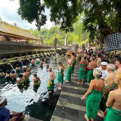 Tourists in green sarongs getting their blessing in the holy water of Puri Titra Empul