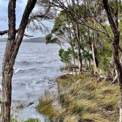 Site of ship building on Sarah Island