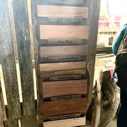 Different types of wood found in the area