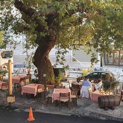 Delphi berühmteste Eckkneipe