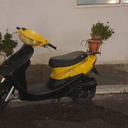 Städtisches Dekorationselement in Delphi