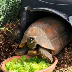 Salad time