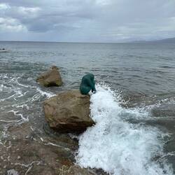 Meerjungfrau im Hafenbecken