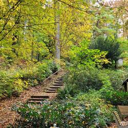 im Dendrologischen Garten