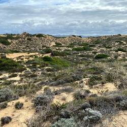 Typische Vegetation!