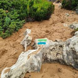 Unsere Orientierung auf dem Weg!