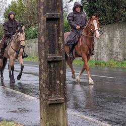 Camino horseback riders