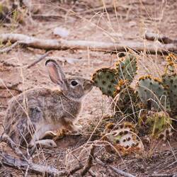 Still a better love story than Twilight.