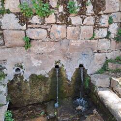 Und verfügt über überraschend viele Quellen.