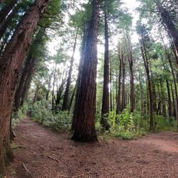 Image fish-eye... Pardon, réflexe de thésard! 😅