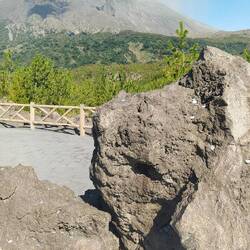 You can see the path that the lava has ones taken. The less green trees were originally melted