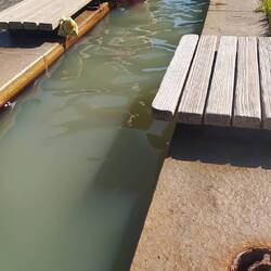 50°C foot onsen... Pain