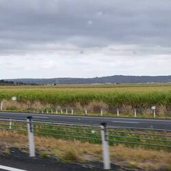 in der gegend des zuckerrohrbaus vorbei gefahren