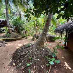 Hotelanlage - Glamping