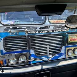 wenn der Bus kuscheln möchte