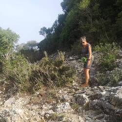 Ein bisschen wandern muss auch im unwegsamsten Gelände sein