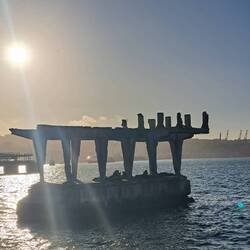 Abends entspannen am Hafen mit den Seelöwen