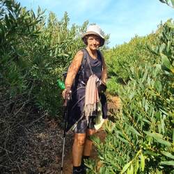 Durch üppige Vegetation führt der Pfad.