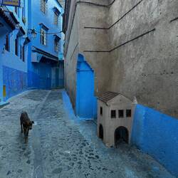 kleine Hunde- oder Katzenhütte