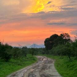 Zum Ende hin auch kein Regen mehr...