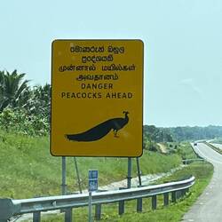 Gefährliche Viecher