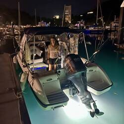 Night time at the marina