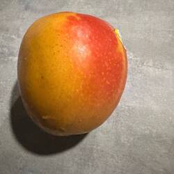 frische mango aus australien
