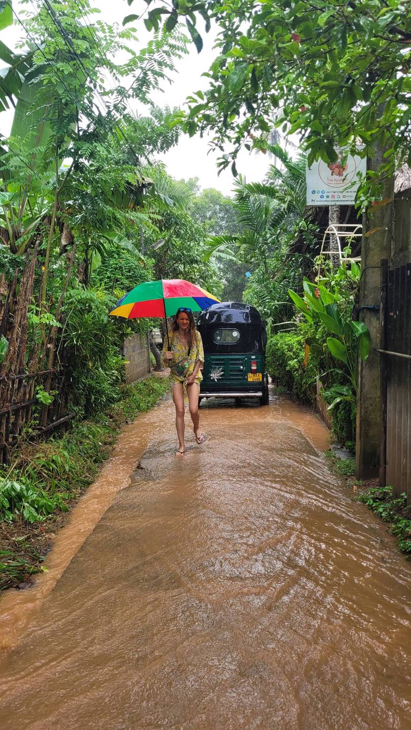 Monsoon Season