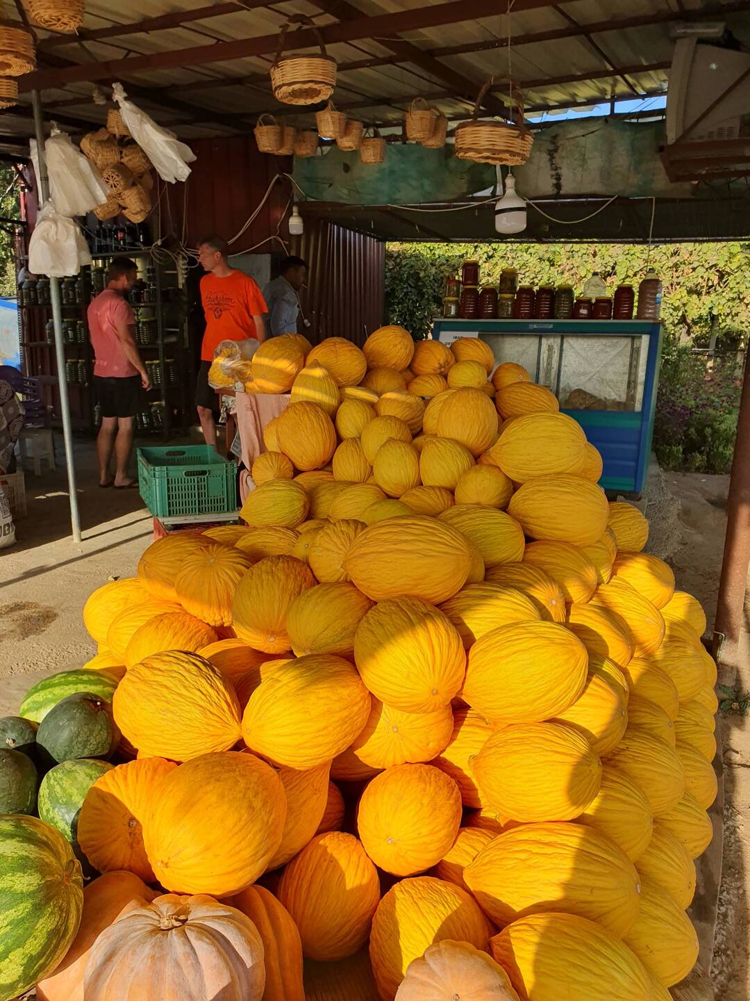 Nicht mit unseren vergleichbar, richtige Monster-Honigmelonen und total lecker