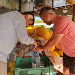 Wein wird umgefüllt