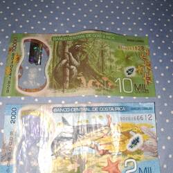 Das Geld hier ist wirklich hübsch!