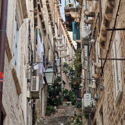 Da ist es schöner und billiger 😃