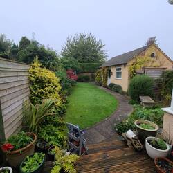The back garden.