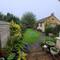The back garden.