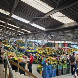 Markthalle mit einer tollen Auswahl von exotischen Früchten
