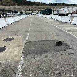 auch am Hafendock warten die Katzen 😅🐈