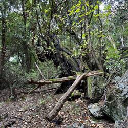 Hier nicht so erfolgreich 😉